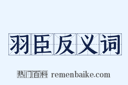 羽臣反义词是什么意思的图片